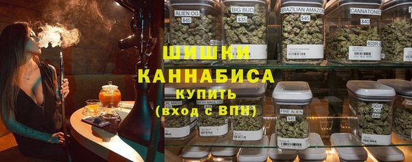 дмт Нея
