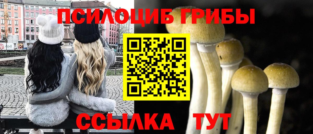 где купить наркотик  Галлюциногенные грибы мицелий  Вход с VPN  Саранск 