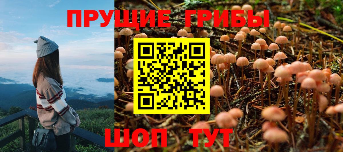 Галлюциногенные грибы MAGIC MUSHROOMS  как найти закладки  Саранск 