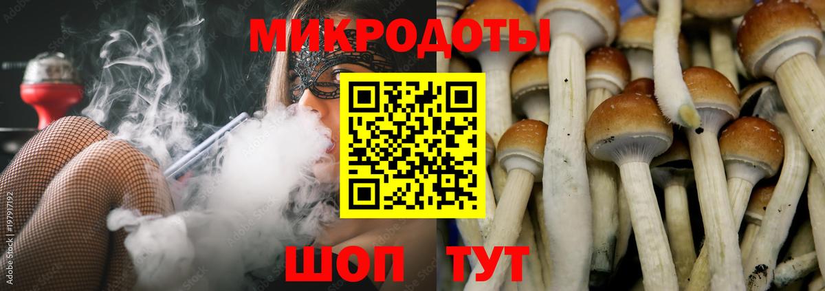 Галлюциногенные грибы GOLDEN TEACHER  Вход с VPN  Псилоцибиновые грибы мицелий  Саранск 